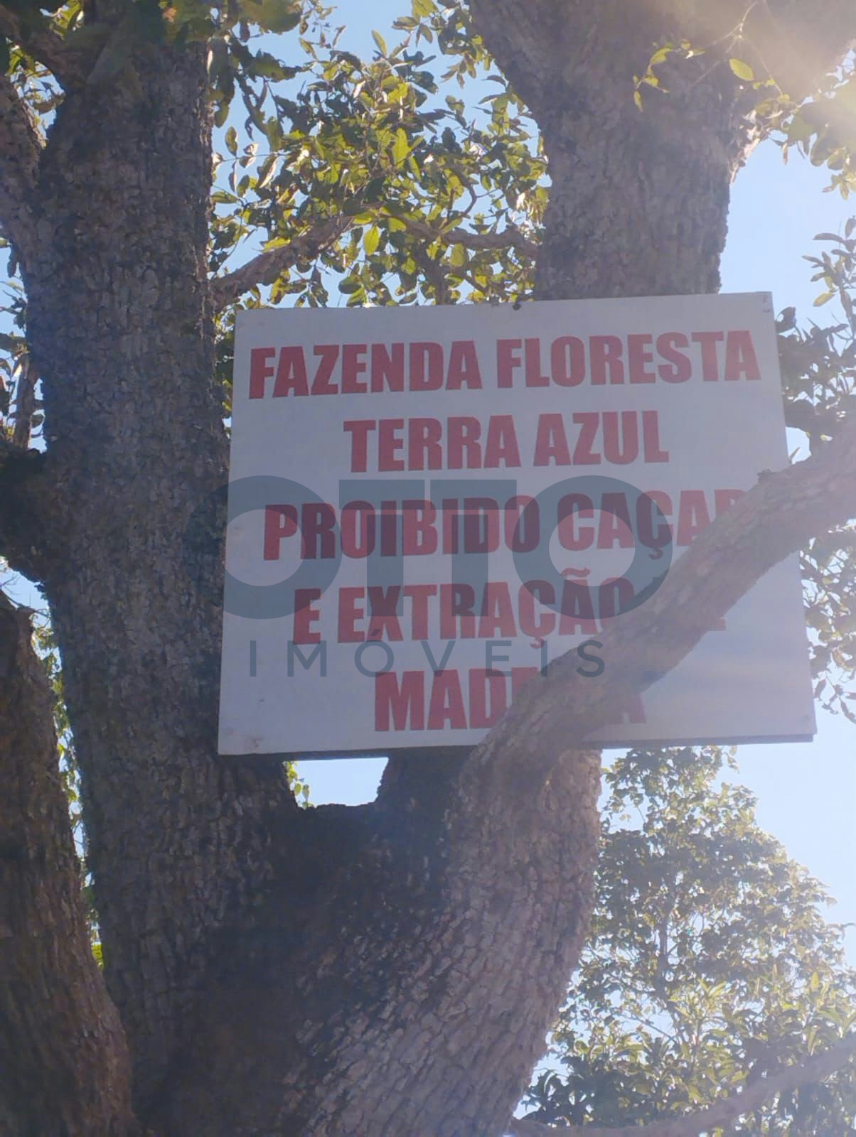 Chácara / Sítio / Fazenda para venda em INTERIOR, MARANHAO · foto 2