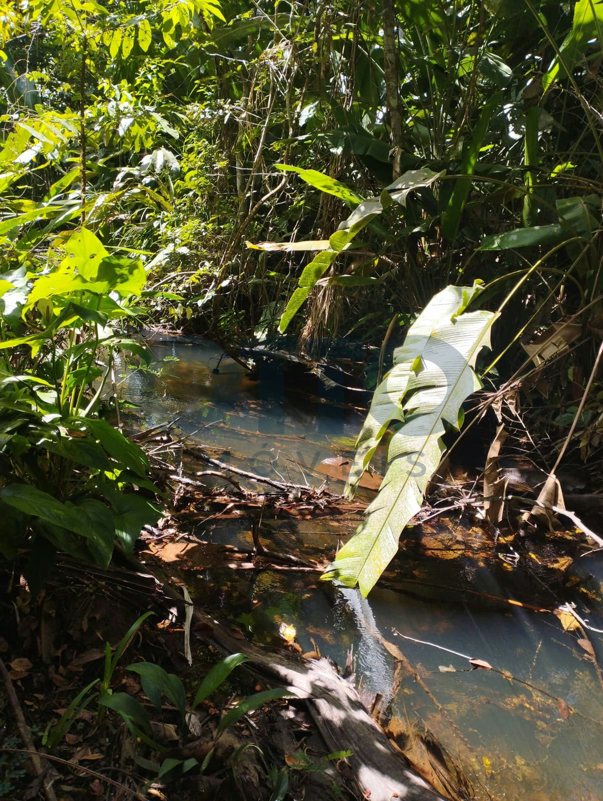 Chácara / Sítio / Fazenda para venda em INTERIOR, MARANHAO · foto 6