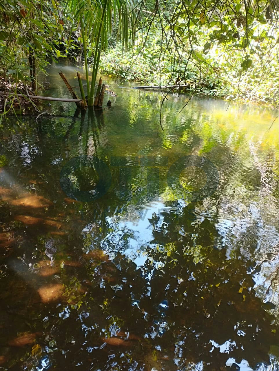 Chácara / Sítio / Fazenda para venda em INTERIOR, MARANHAO · foto 11