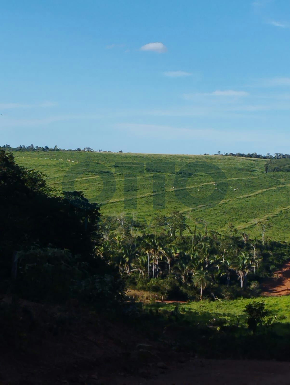 Chácara / Sítio / Fazenda para venda em INTERIOR, MARANHAO · foto 12