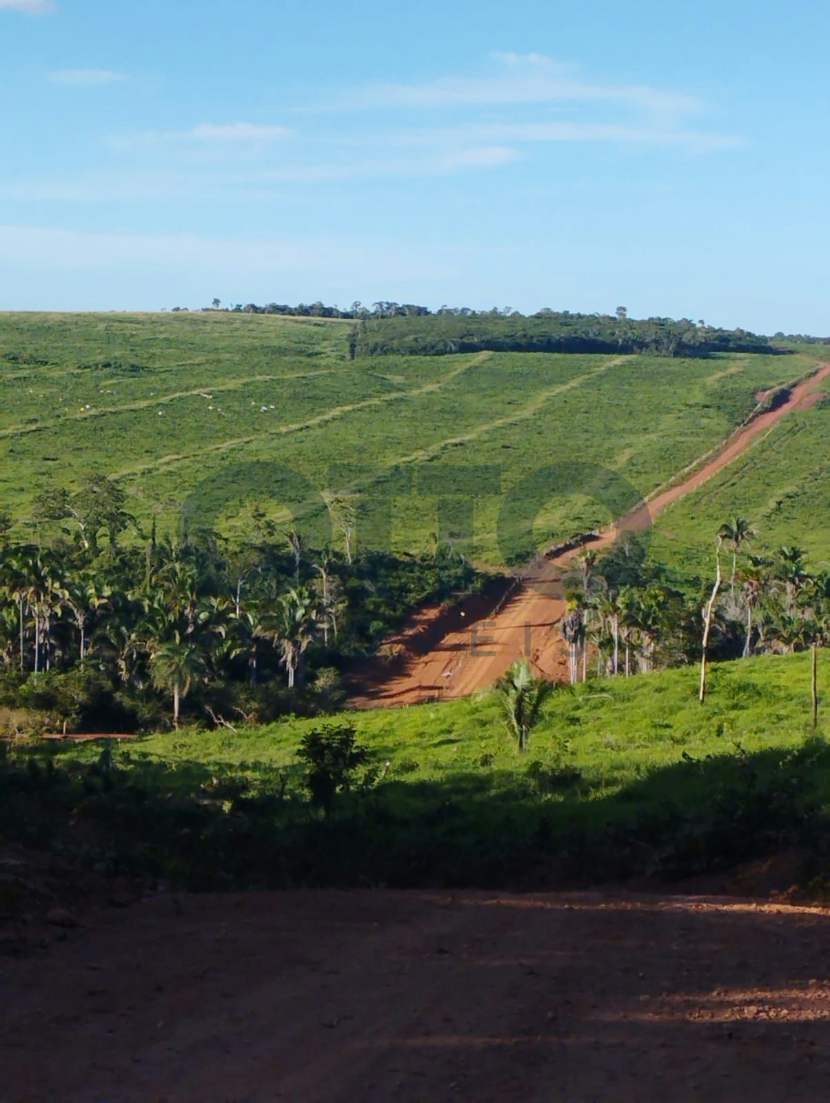 Chácara / Sítio / Fazenda para venda em INTERIOR, MARANHAO · foto 14