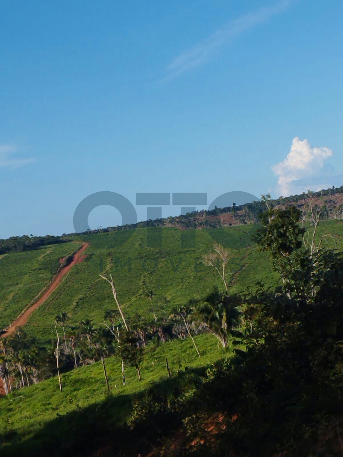 Chácara / Sítio / Fazenda para venda em INTERIOR, MARANHAO · foto 15