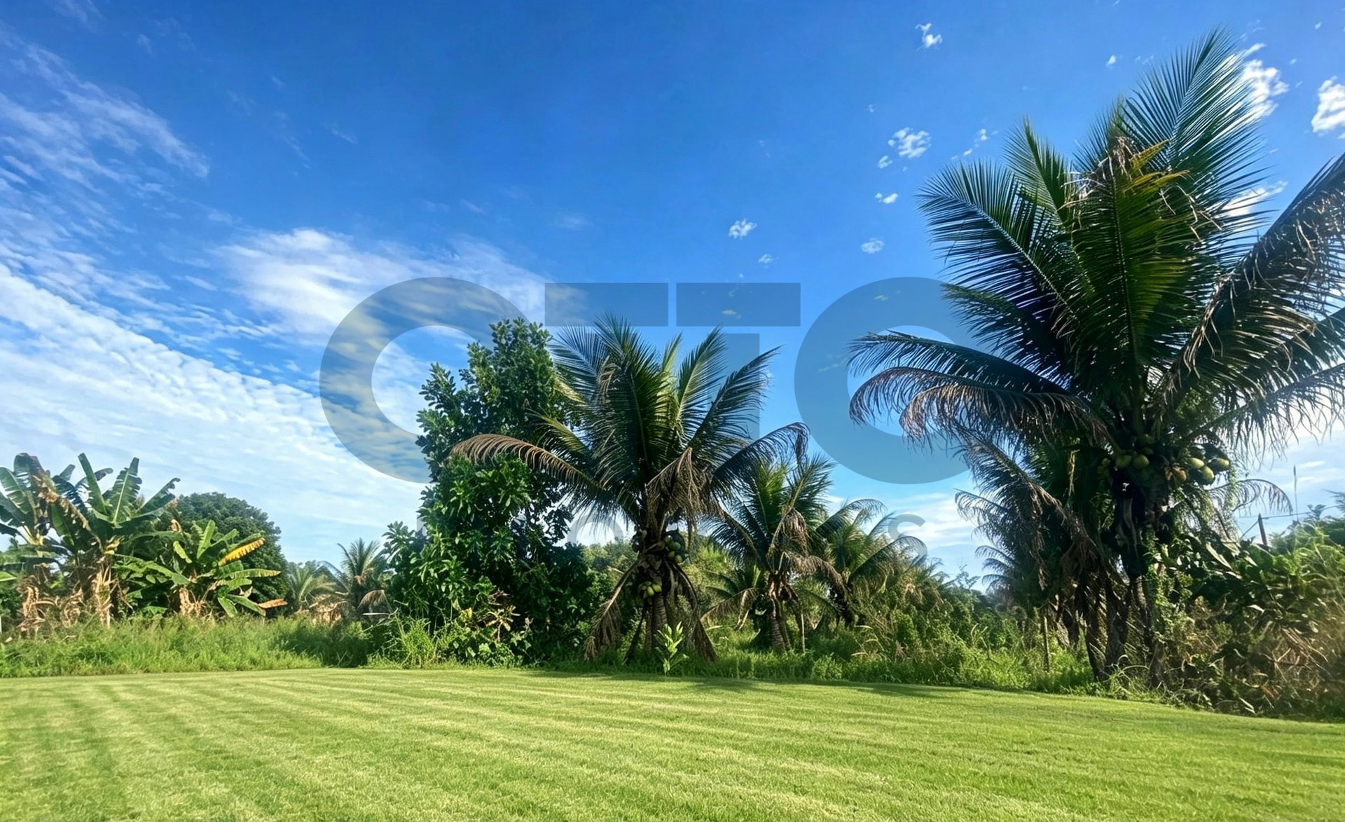 Terreno à Venda no Vale Verde em Condomínio Fechado Jardim do Vale | 300m² · foto 4