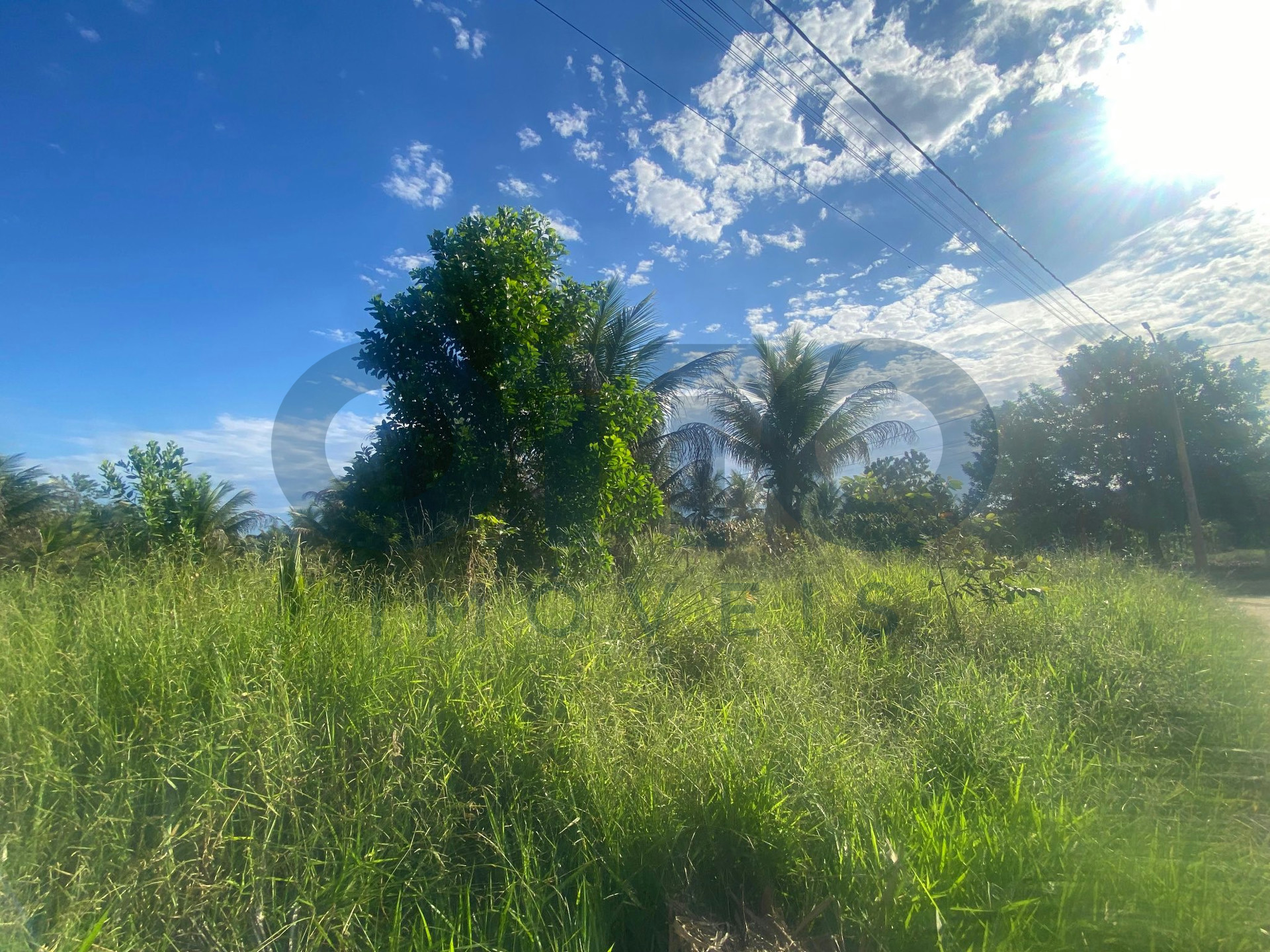 Terreno à Venda no Vale Verde em Condomínio Fechado Jardim do Vale | 300m² · foto 6