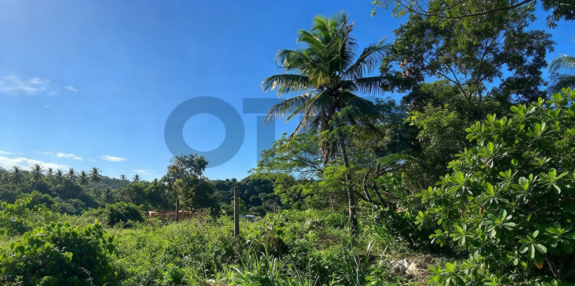 LOTES PLANOS À VENDA NO ALTO DO VILAS – ARRAIAL D’AJUDA | 152 M² CADA | 608 M² NO TOTAL · foto 2
