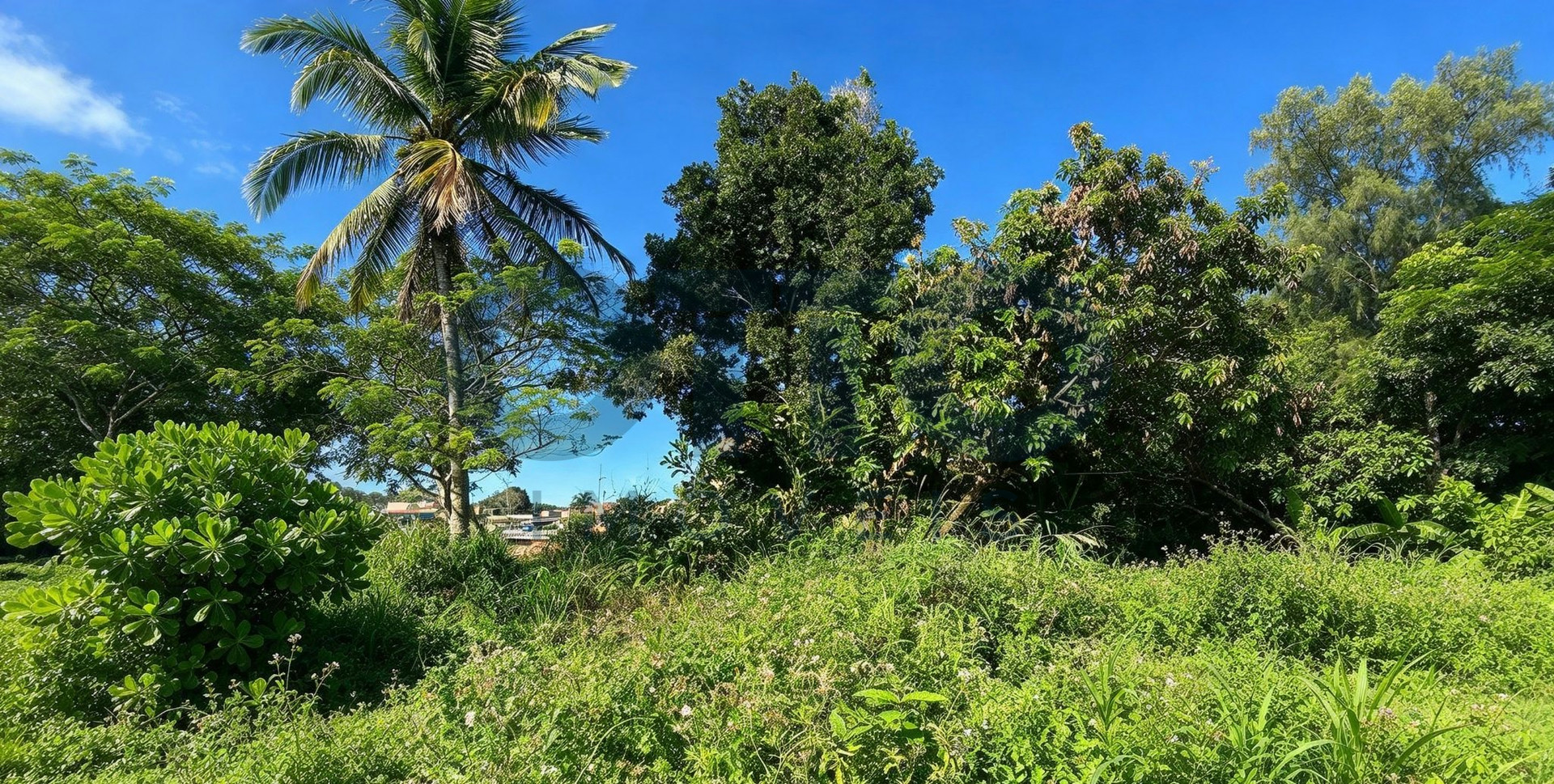 LOTES PLANOS À VENDA NO ALTO DO VILAS – ARRAIAL D’AJUDA | 152 M² CADA | 608 M² NO TOTAL · foto 3