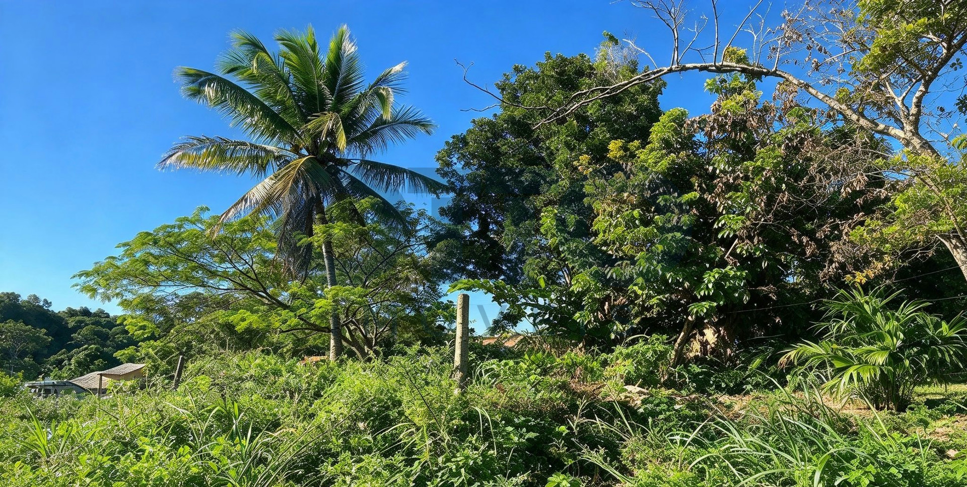 LOTES PLANOS À VENDA NO ALTO DO VILAS – ARRAIAL D’AJUDA | 152 M² CADA | 608 M² NO TOTAL · foto 4