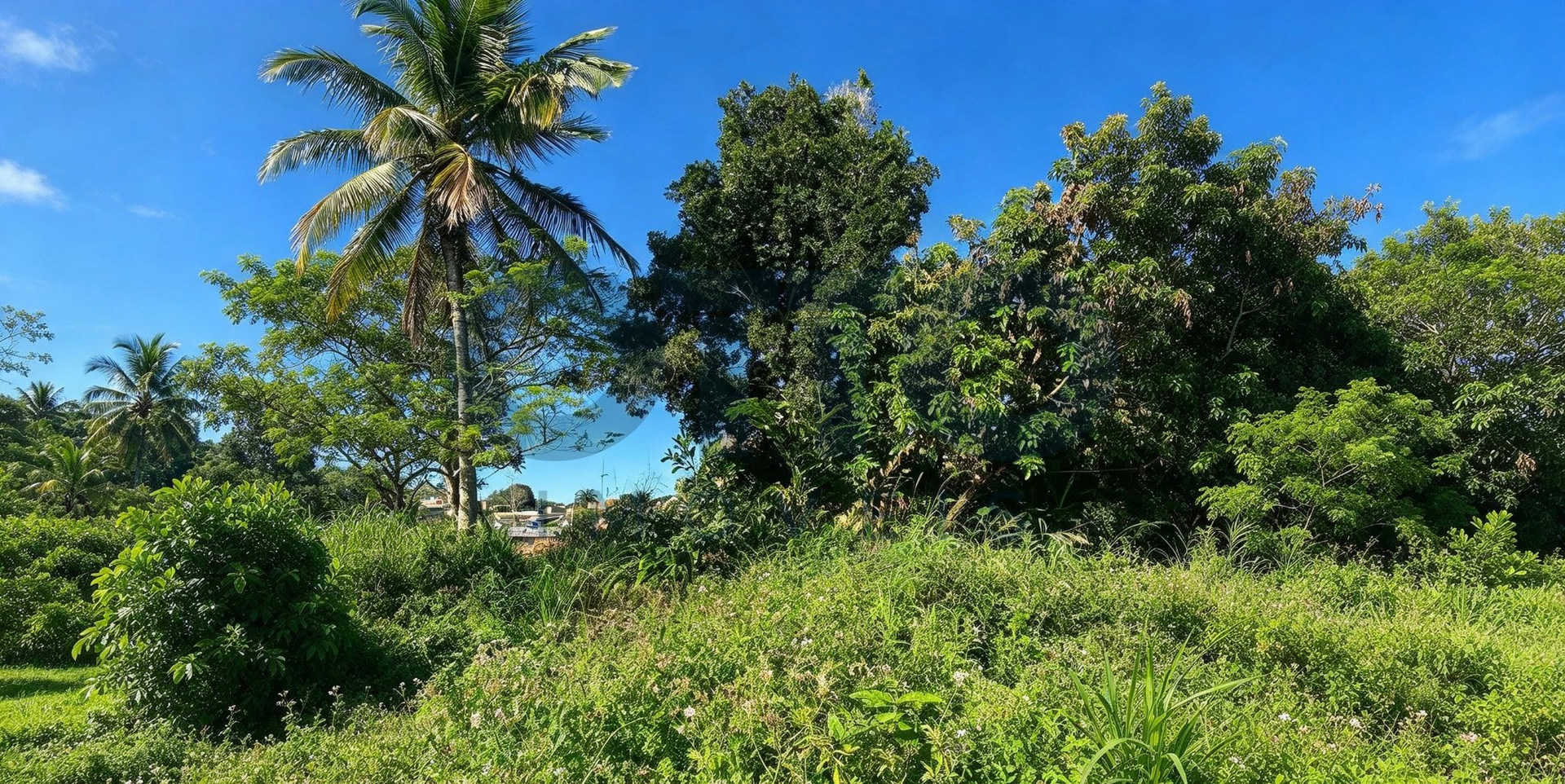 LOTES PLANOS À VENDA NO ALTO DO VILAS – ARRAIAL D’AJUDA | 152 M² CADA | 608 M² NO TOTAL · foto 5