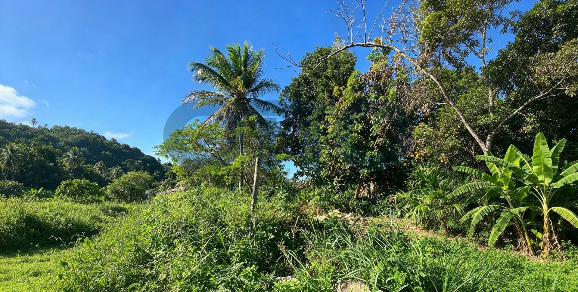 LOTES PLANOS À VENDA NO ALTO DO VILAS – ARRAIAL D’AJUDA | 152 M² CADA | 608 M² NO TOTAL · foto 6