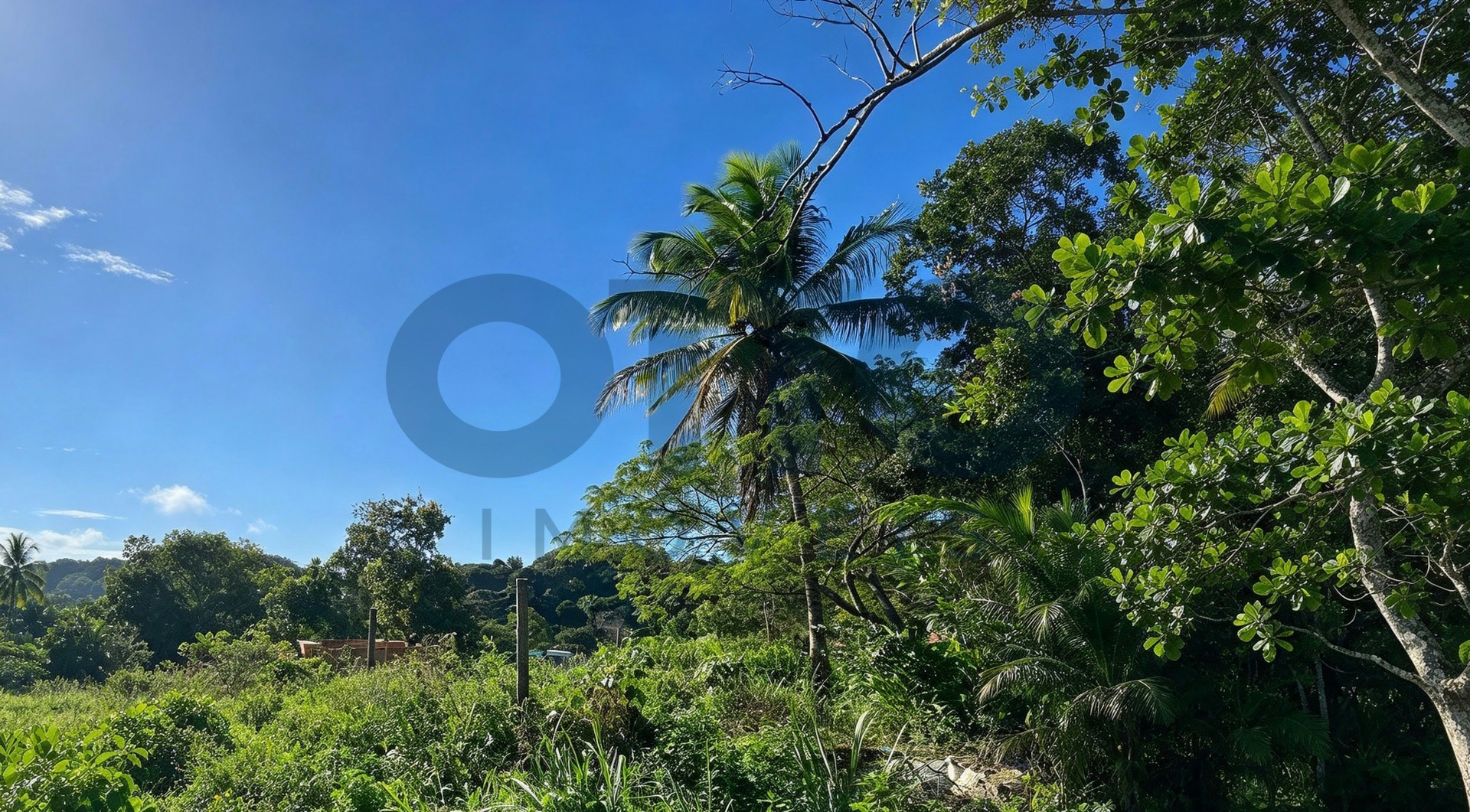LOTES PLANOS À VENDA NO ALTO DO VILAS – ARRAIAL D’AJUDA | 152 M² CADA | 608 M² NO TOTAL · foto 7
