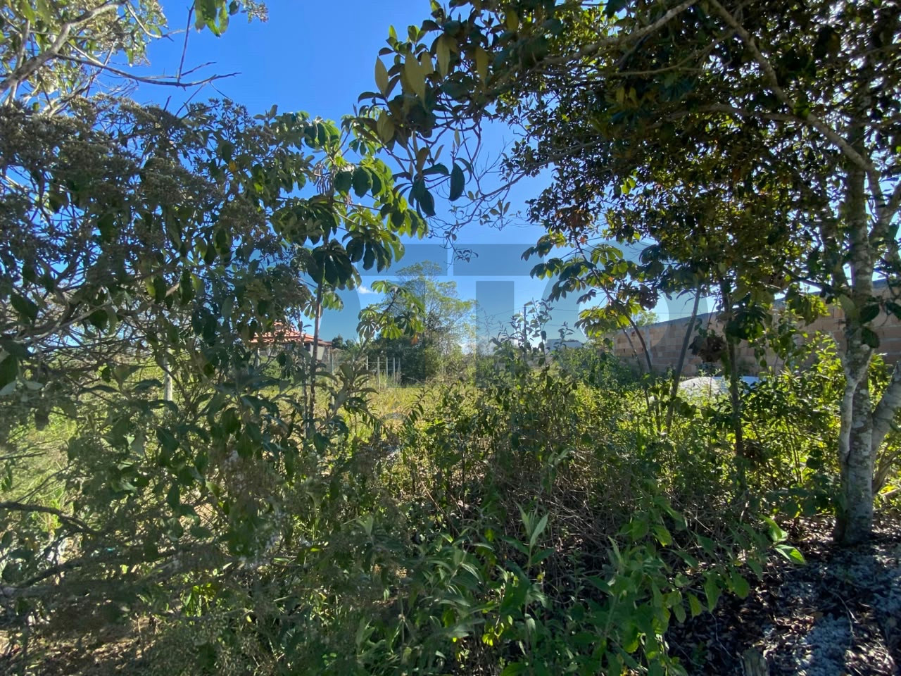TERRENO À VENDA NO ALTO DO VILAS – ARRAIAL D’AJUDA | 200 M² | R$ 100.000 · foto 2