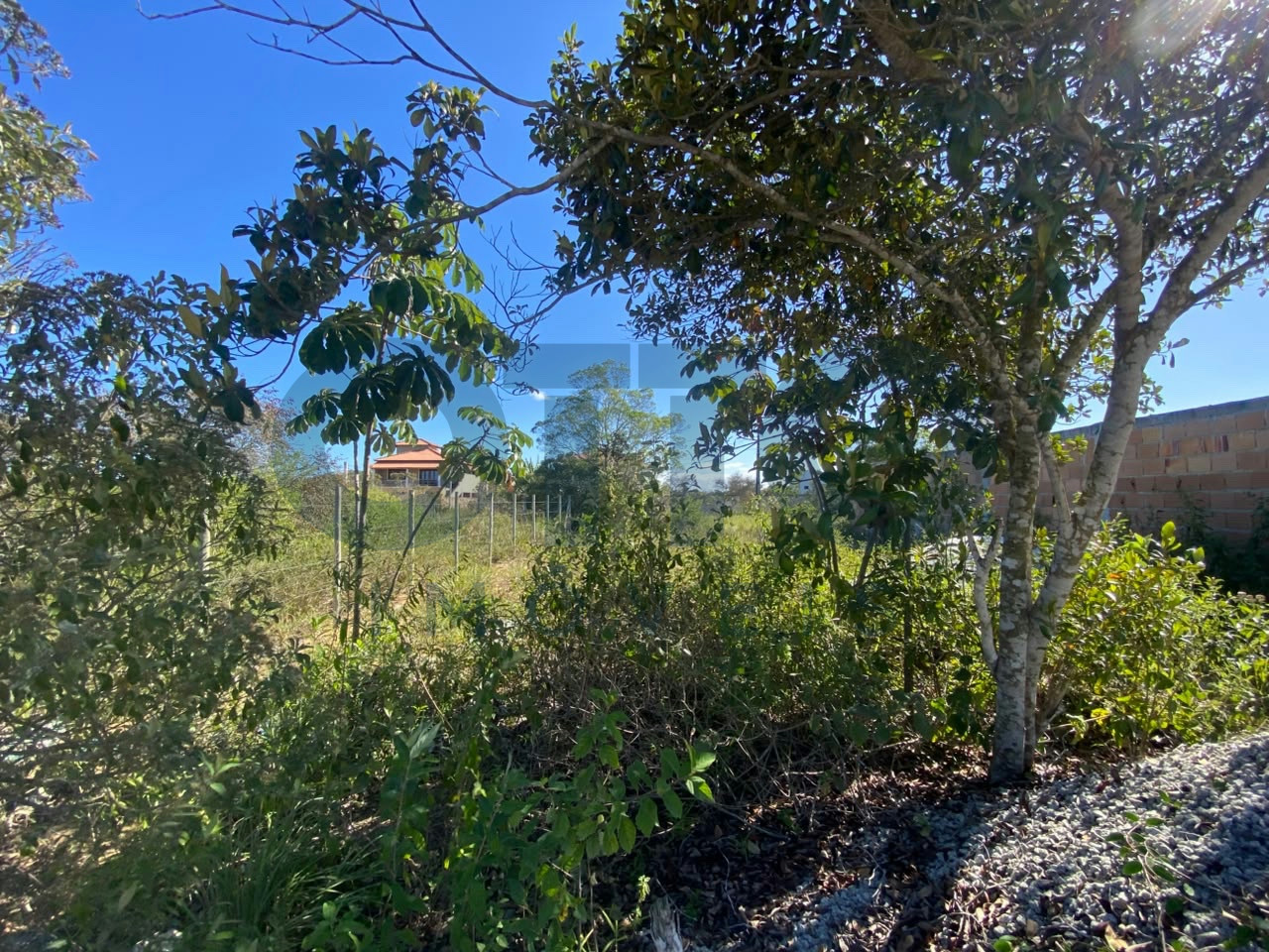 TERRENO À VENDA NO ALTO DO VILAS – ARRAIAL D’AJUDA | 200 M² | R$ 100.000 · foto 3