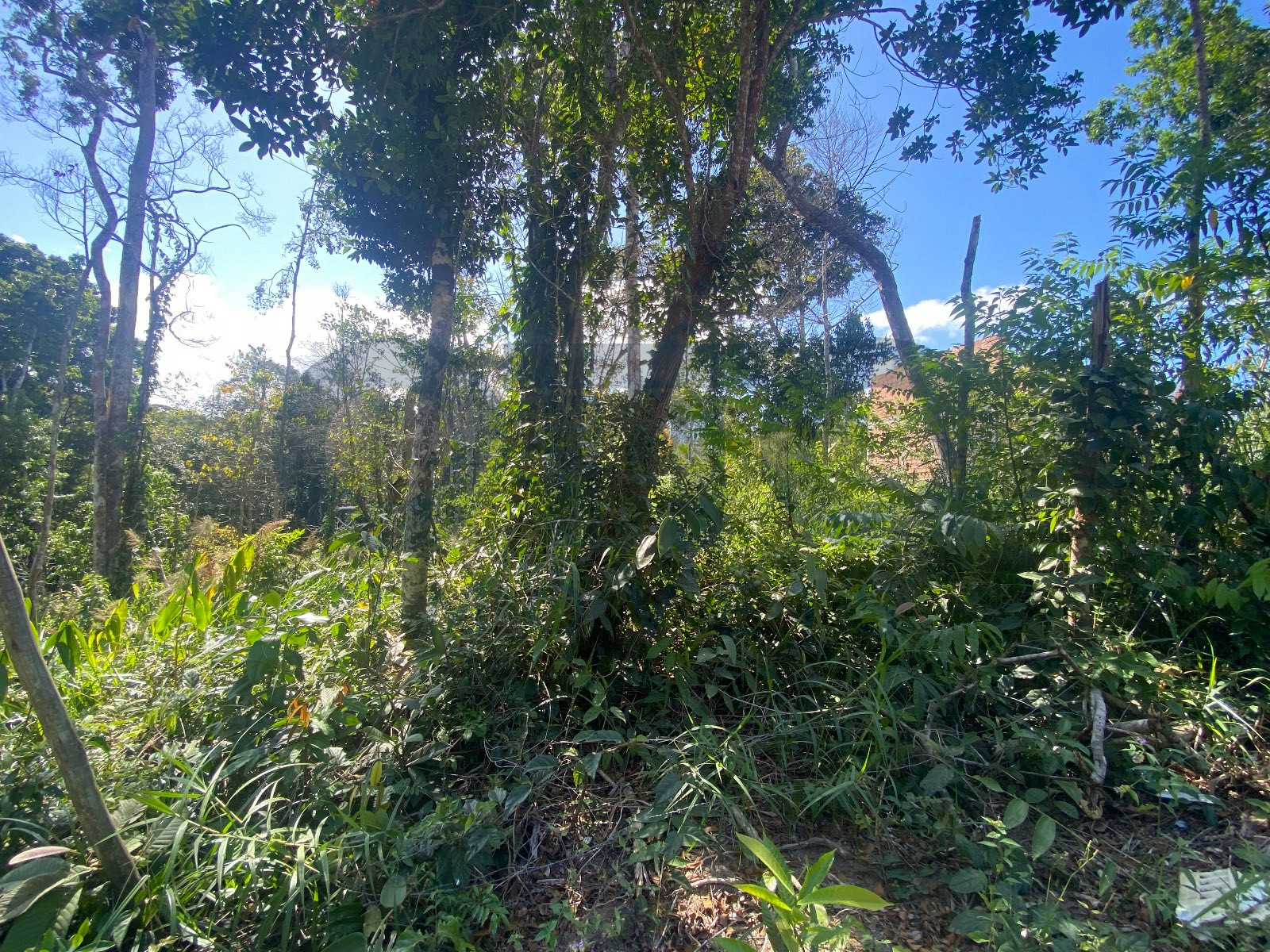 Terreno, 500 m² - Foto 7