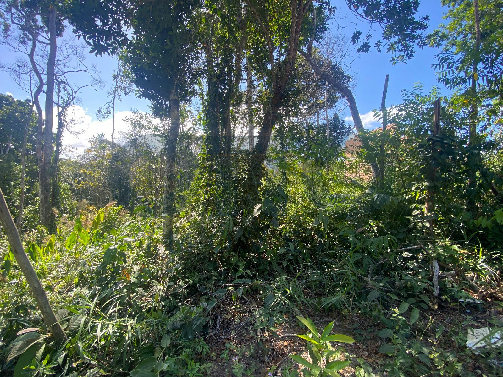 Terreno, 500 m² - Foto 9