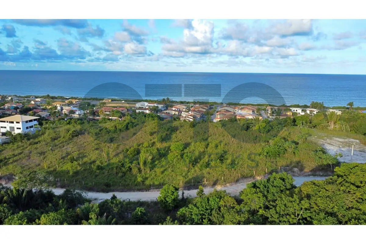 Terreno, 8500 m² - Foto 9